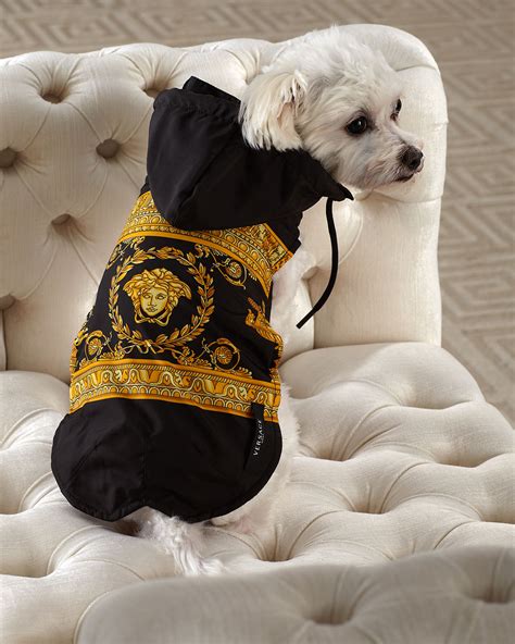 dog versace